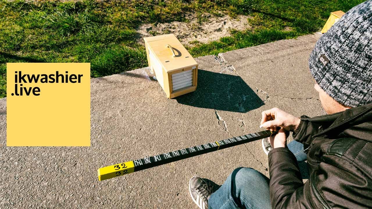 Vinkenzetten in Gistel: 1e proefzetting met 34 vinken door Koninklijke Maatschappij de Noordvink