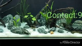 Aquarilis Aquarium Works