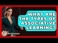 What Are The Types Of Associative Learning? - The Horses Stable