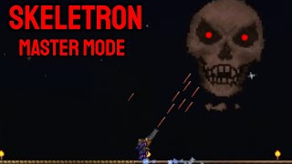 U Skeletrona se nic nepokazilo :'( - Terraria Master Mode #3