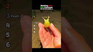 ranking best sea creatures #usa