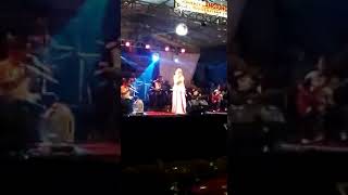 Zebro  Perigi Baru Pindok Aren Tangsel Yuznia Zebro Cinta Rahasia
