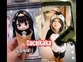 Kukukaka #funny #pigeon #duet