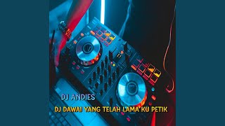 DJ Dawai Yang Telah Lama Ku petik