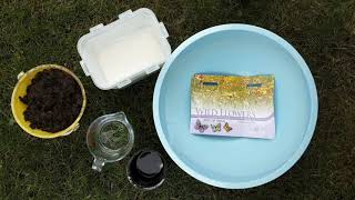 How to make a wildflower seed bomb