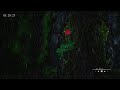Deep relaxing rain ambience supporting a smooth transition into sleep