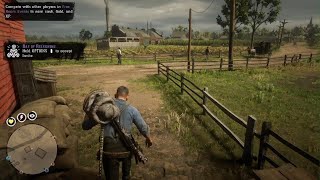 Red Dead Online Broken