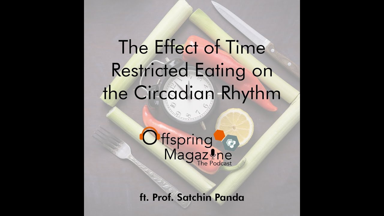 Video thumbnail for Max Planck PhDNet Podcast