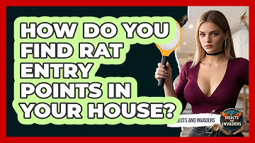 How Do You Find Rat Entry Points In Your House? - Insects and Invaders