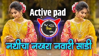 माझं पिल्लू माझी जान | Mazhi Pillu Mazhi Jaan Dj Song | Active pad Sambal mix Dj Song | Insta Viral