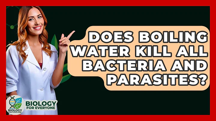 Does Boiling Water Kill All Bacteria And Parasites? - Biology For Everyone