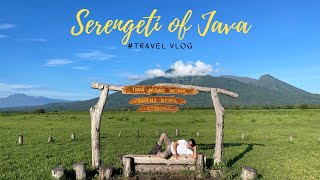 Serengeti of Java (Baluran national park)