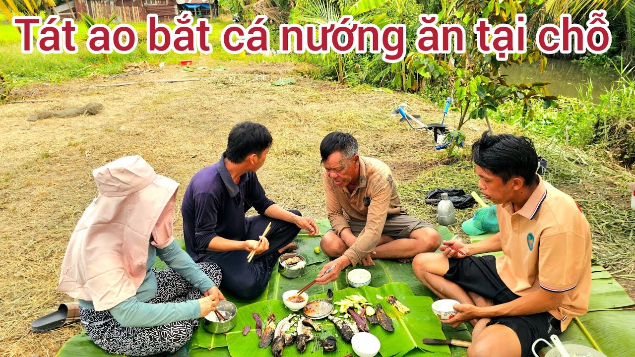 08 l Trải nghiệm tát ao bắt cá ở giữa ruộng l fishing