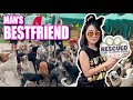 RESCUED IS MY FAVORITE BREED(ANDAMI NARESCUE)  | Jelai Andres