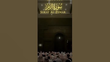 الشيخ محمد اللحيدان سورة الزمر