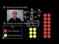 Mastering Genetic Frequencies with the Hardy-Weinberg Equation