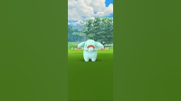 Cute Shiny Phanpy! Pokémon Go!