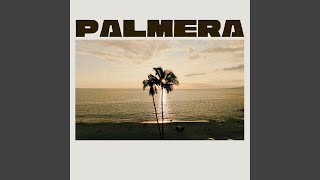 Palmera - Gofica