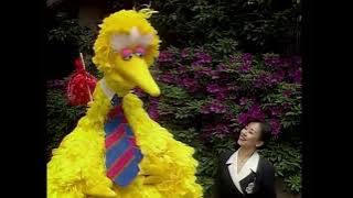 Sesame Street Big Bird In Japan (Disney Version)