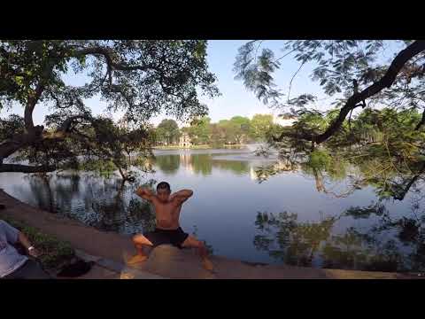 Shaolin Fighting And Yi Jin Jing Qigong