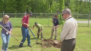 City of Bella Vista planting trees for Arbor Day
