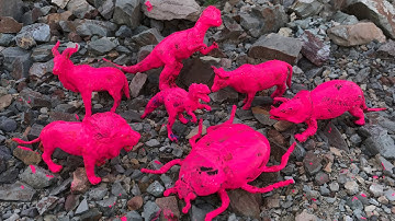 Tìm kiếm và giải cứu các con vật bị nhuộm màu hồng vùi trong đống đá | Con bò - sư tử - khủng long