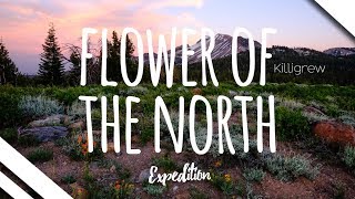 Killigrew - Flower of the North