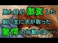 【感動・驚愕】見た目が激変した飼い主に、犬が取った行動とは・・・