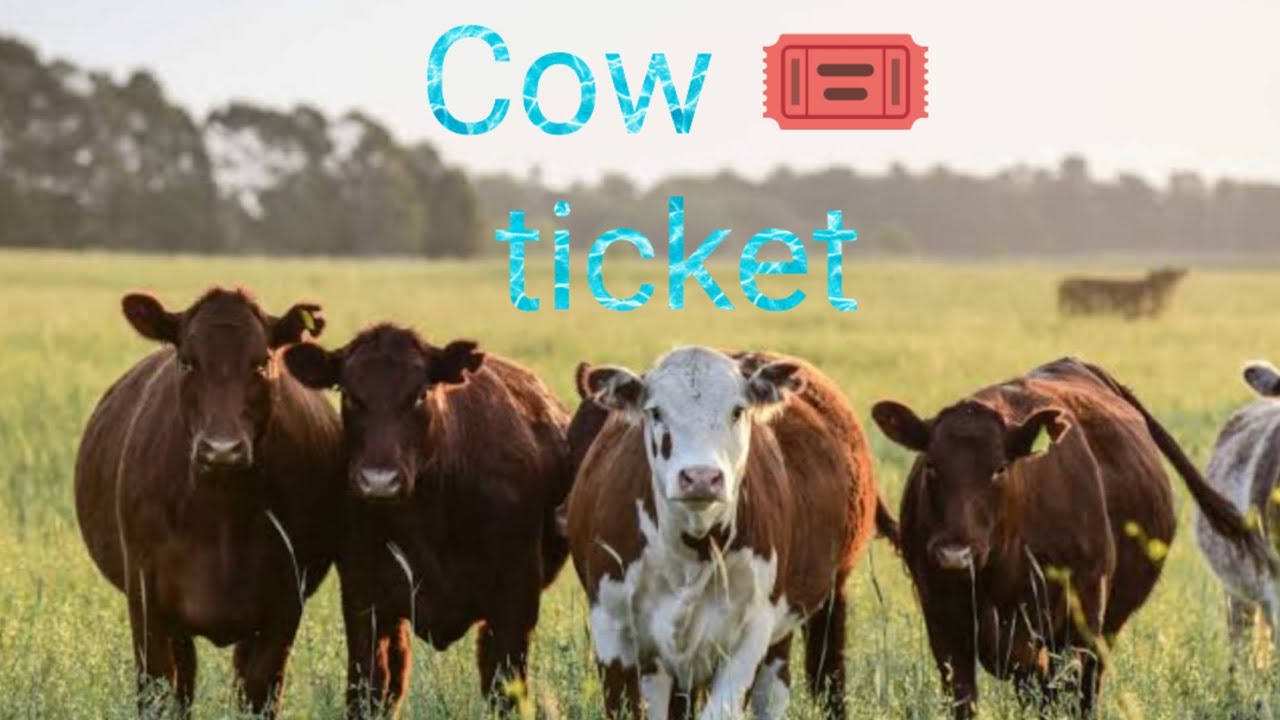 Cow Tickent R Cow 🎟 🐄🐮 ticket prank - YouTube