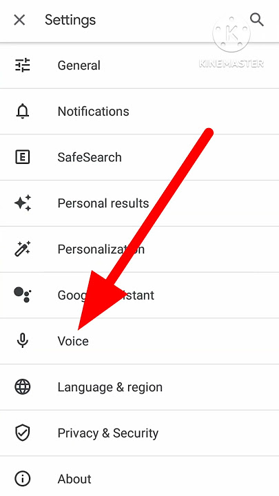 Google Assistant voice set in vivo 1820