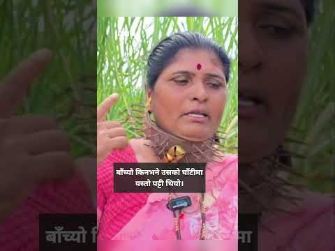 BBC Nepali Sewa - चितुवाबाट जोगिन घाँटीमा फलामका किला भएको पट्टी