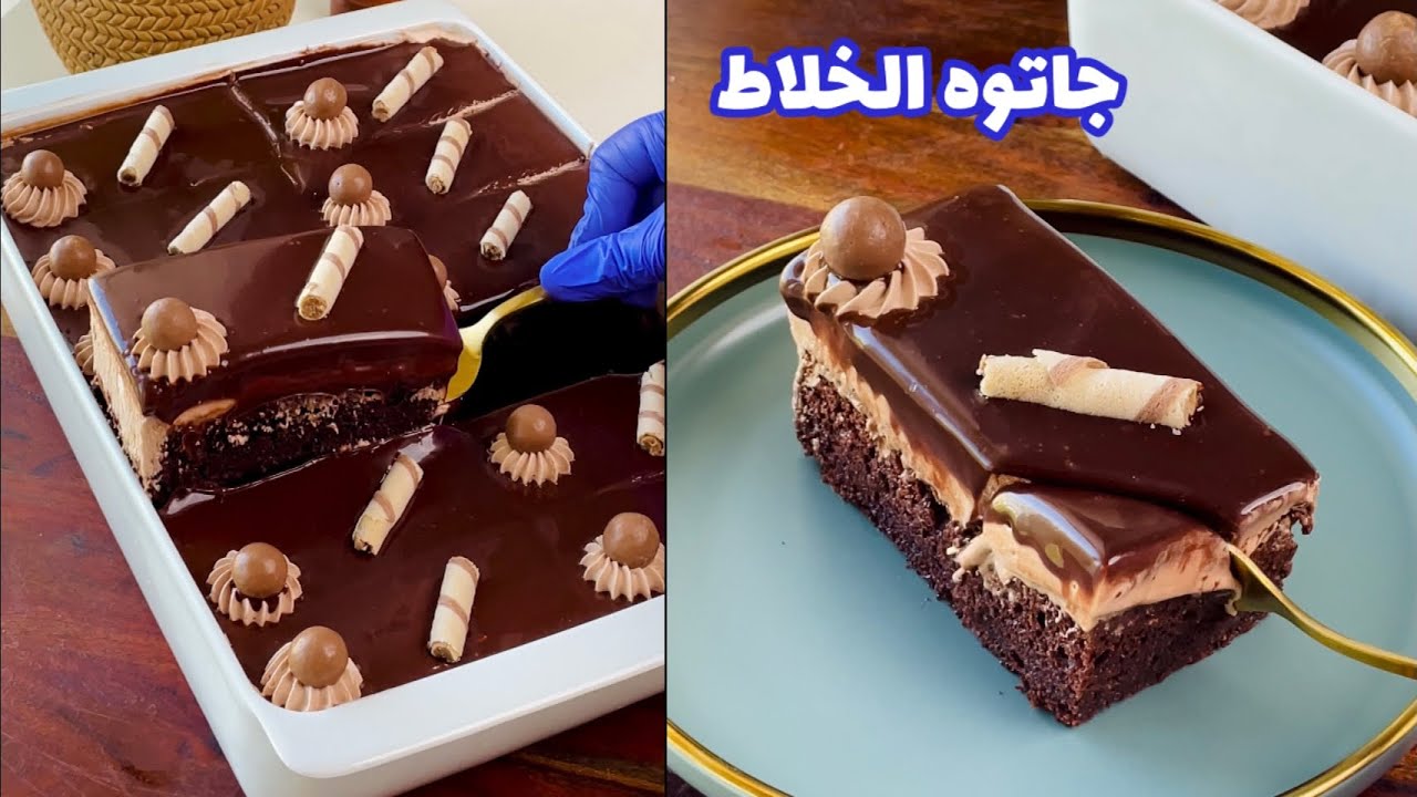 جاتوه الخلاط الاقتصادي