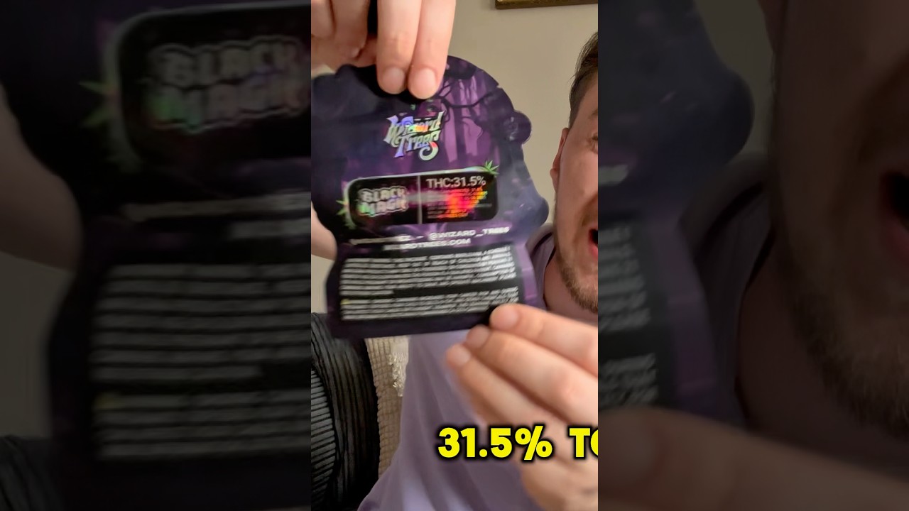 Is Wizard Trees REALLY Worth the Hype?