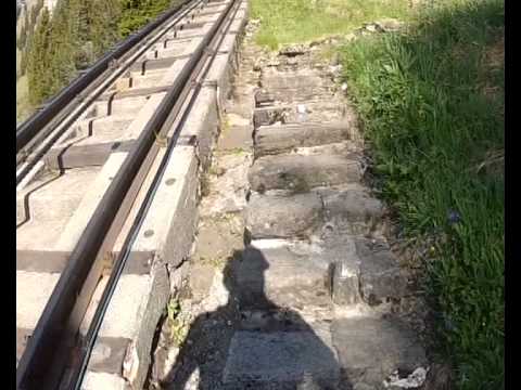 Video: The longest staircase in the world on Mount Niesen (Switzerland). Guinness Book of Records