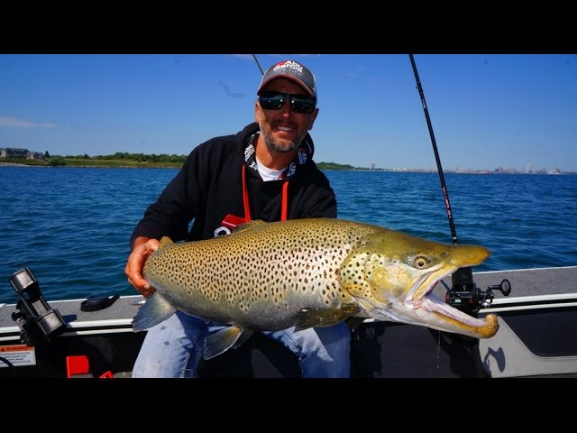 Trolling for Monster Brown Trout and Salmon 