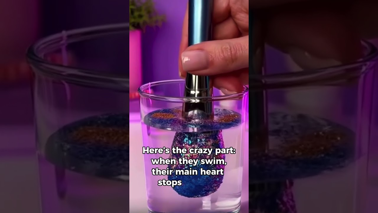 Fun Fact That Will Make You Say WOW! 