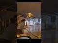 13 FT PYTHON SPOTTED ON BALI STREETS
