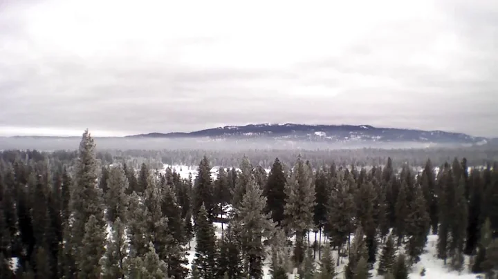 Mccall 1020 Penstemen Jan 2015