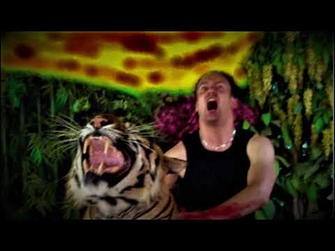 Subtle Transition Why Nu Metal Music