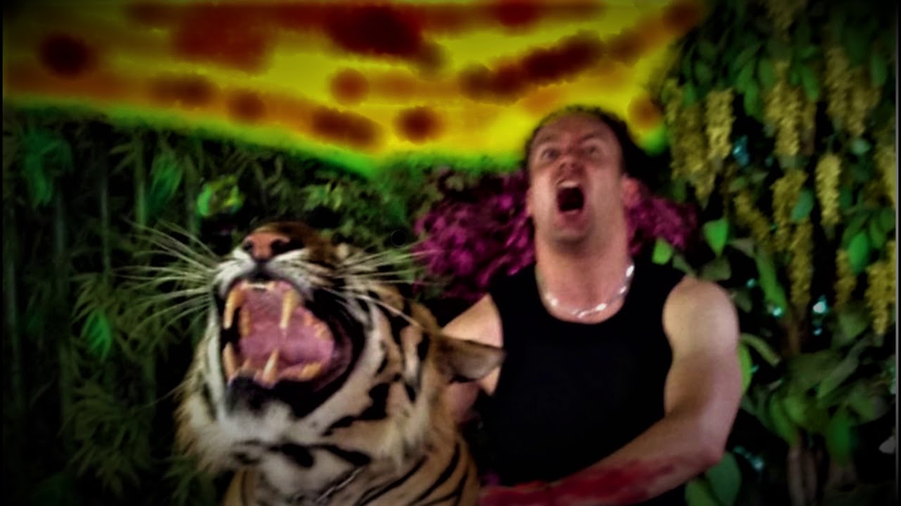 Subtle Transition - Why? (Nu Metal Music)