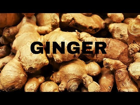 top-10-health-benefits-of-ginger-ll-health-benefits-of-ginger--why-is-ginger-good-for-ll