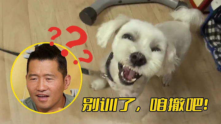 歷代級兇猛惡犬！沒有廢話直接開咬，訓犬師看了都覺得膽寒 - 天天要聞