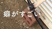 つるはしの使い方 Youtube