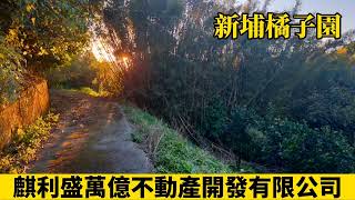 金漢柿餅山坡地橘子園756坪，新竹縣新埔鎮下旱坑，新埔鎮下旱坑段，本地距離柏油路只有130公尺，現場有鋪設公家水泥路，車子可以到本地，水電自行申請，有相鄰兩塊地可選。