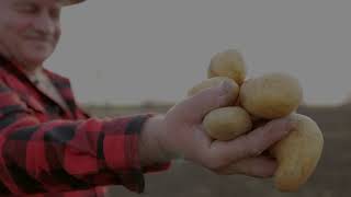 Potatoes Without Borders video