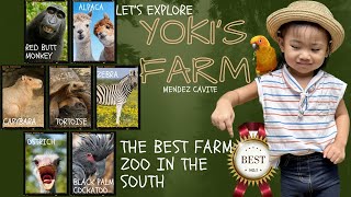 YOKI’S FARM | THE BEST FARM ZOO IN THE SOUTH | MENDEZ CAVITE