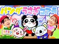 パンダうさぎコアラ♪ / てあそび / NHK / Eテレ /おかあさんといっしょ【男女・ダンス 手遊び 童謡 こどもの歌】