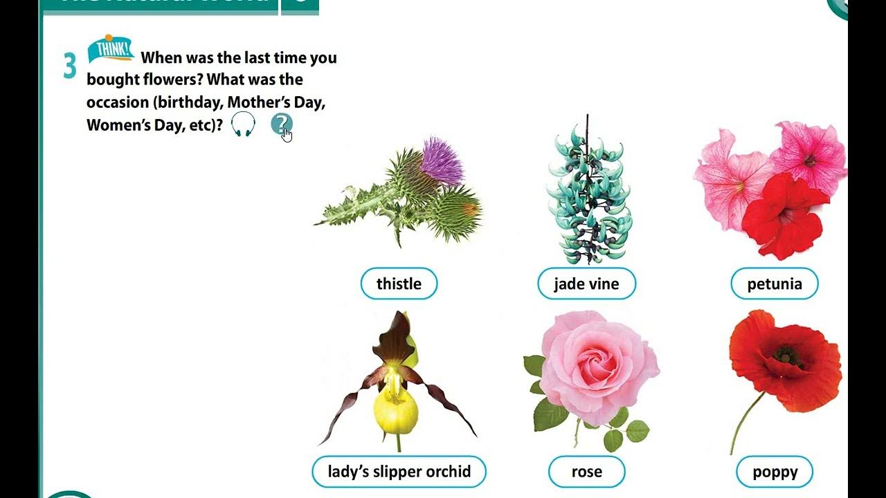 Excel 8 module 5 p56 to the sea task. Excel 5 module 8. Module 6. Excel 8 module 6. Excel.