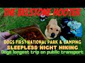 Sleepless night Dogs first time Wild Camping Dartmoor Seven hours Public transport on bus train home