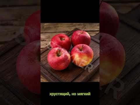 Яблоки "Гала", откуда и какие?